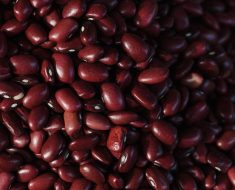 remedii pietre rinichi