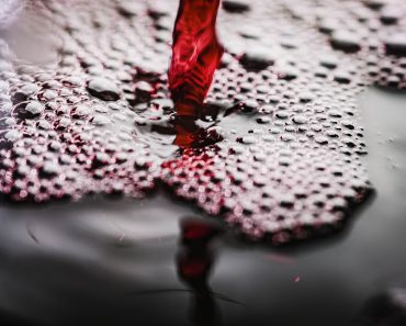 Crama domeniile Murfatlar