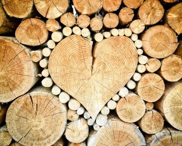 Despicatorul hidraulic