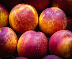 Nectarinul columnar Fantasy