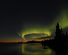 Câmpia Siberiei de Vest