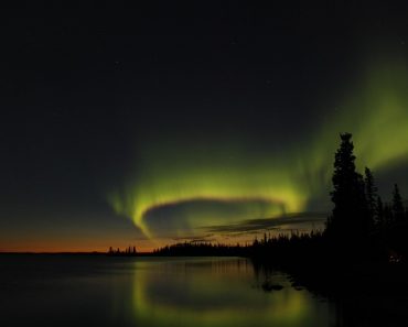 Câmpia Siberiei de Vest