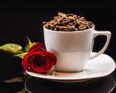 trandafirul Spiced Coffee